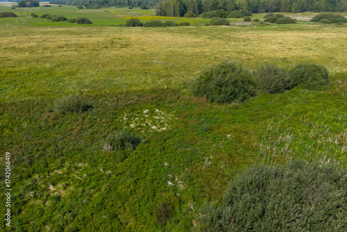 Partly abandoned meadows in autumn