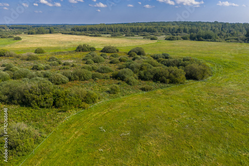 Partly abandoned meadows in autumn