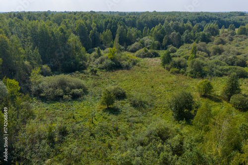 Partly abandoned meadows in autumn