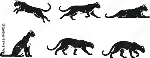 set of horse silhouettes