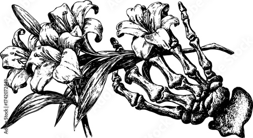 Black and white outline drawing of a lily flower with a skeleton element. Detailed vintage vector illustration set.