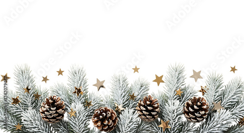 Frosted pine branches with pinecones and gold stars isolated on a transparent background Christmas winter