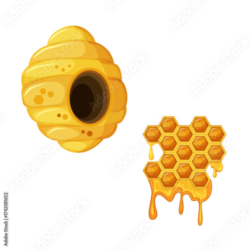 Colorful yellow beehive and honeycomb. Bee hive illustration isolated on white background.