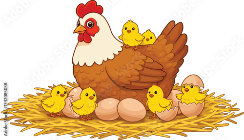 Cartoon mother hen with yellow chicks, cute baby chickens hatching from eggs in nest, farm poultry illustration, adorable animal vector art