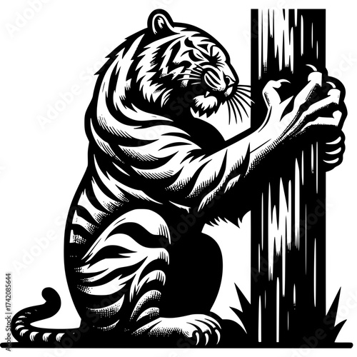 Tiger scratching his claws vector image illustration