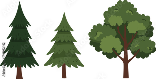 Cartoon tree collection, pine fir and oak illustration, green forest design, ecology nature vector, woodland plant drawing, landscape environment artwork
