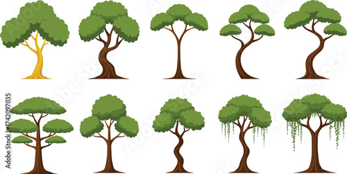 Collection of cartoon trees with green leaves, forest nature illustration, tropical jungle plants, natural background, eco friendly environment design, landscape elements