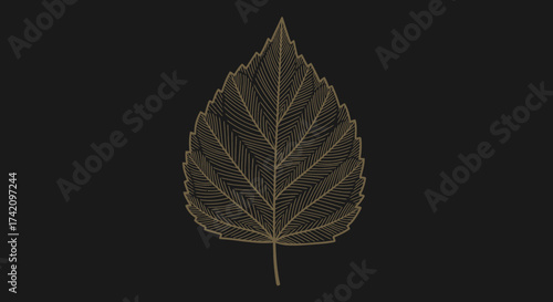 An intricate golden leaf skeleton, detailed with delicate veins and patterns, set against stark