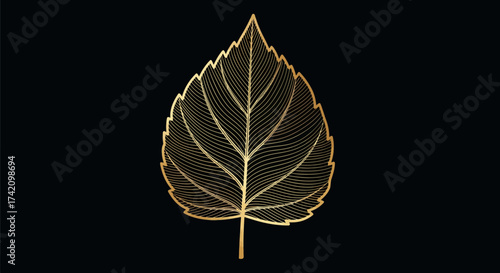 Intricate golden leaf skeleton on, symbolizing nature, elegance, and the delicate beauty autumn foliage