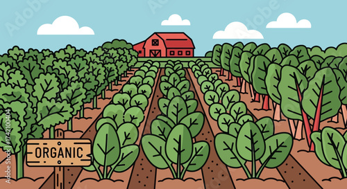 Vibrant organic farm with rows fresh green vegetables, red barn, and trees under blue sky with fluffy clouds