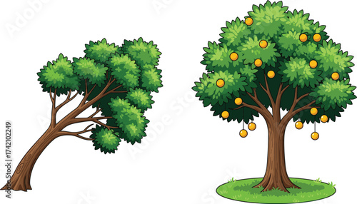 Green tree illustration with lush leaves, fruit tree with oranges, natural forest plant, agriculture, organic farming, garden, landscape, eco nature
