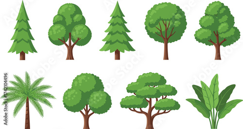 Set of cartoon trees and tropical plants illustration, green forest vegetation, eco friendly nature design, jungle foliage collection, botanical artwork