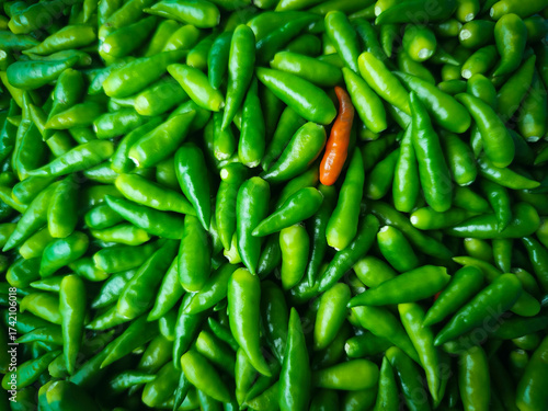 A single orange-red chili pepper stands out prominently amidst a dense, full-frame pile of vibrant green chili peppers.
