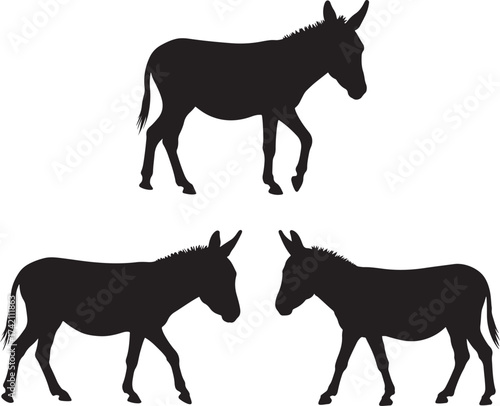 Three donkey silhouettes standing and walking