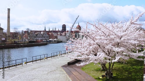 The Main Town of Gdansk by the Motlawa river at blossom spring, Poland.