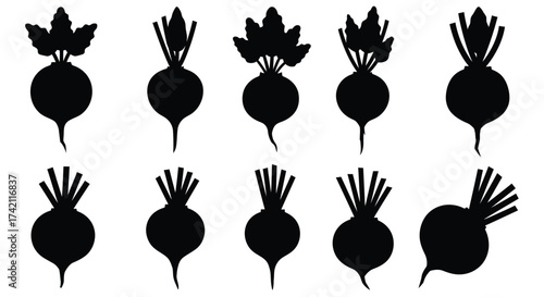 Black silhouettes of various shaped radishes arranged in neat rows