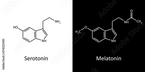 Serotonin and Melatonin