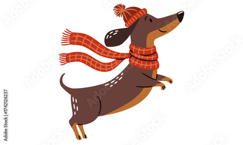 A cute dachshund wearing a hat and scarf runs on a white background. Flat vector illustration. . Vector illustration