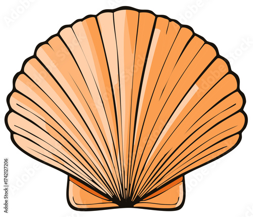 Isolated Orange Seashell Illustration Artistic Sea Shell Design Graphic