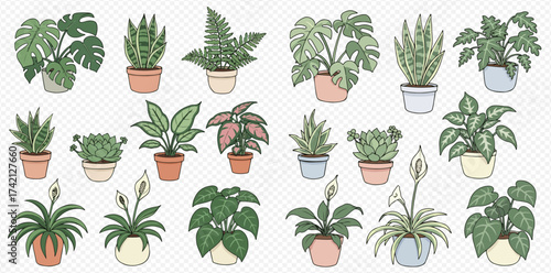 A collection of various potted houseplants, including monstera, snake plant, peace lily, and others, arranged in a decorative display.