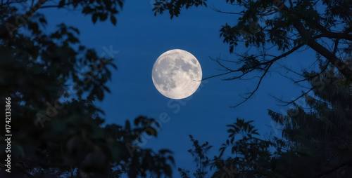 Mid-Autumn Festival Qixi Festival 