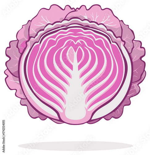 Illustration of a Half-Cut Red Cabbage, Showing Interior Detail