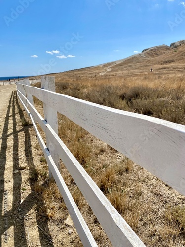 A wooden boardwalk stretches through coastal a sandy beach under a cloudy sky