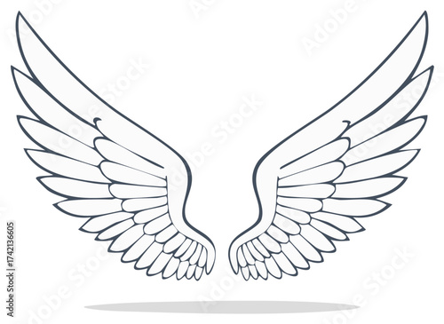 Stylized Angelic Wings Vector Illustration