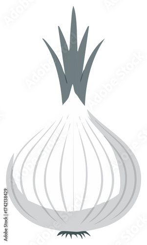 Graphic illustration of a white onion with green sprouts and root stub
