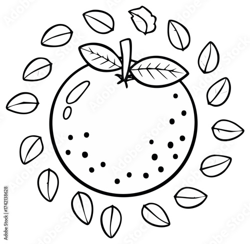 Illustration of a Round Fruit with Leaves Coloring Page, Outline Art for Children