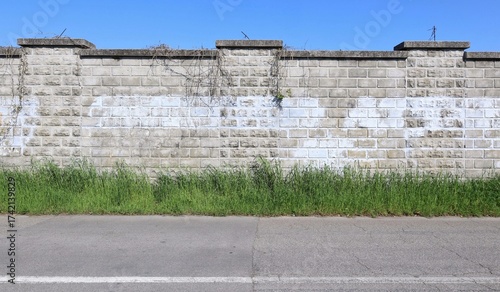 Wallpaper Mural Grunge cinder block wall with erased writings orgraffiti by white painting. A strip of weeds and road in front. Background for copy space. Torontodigital.ca