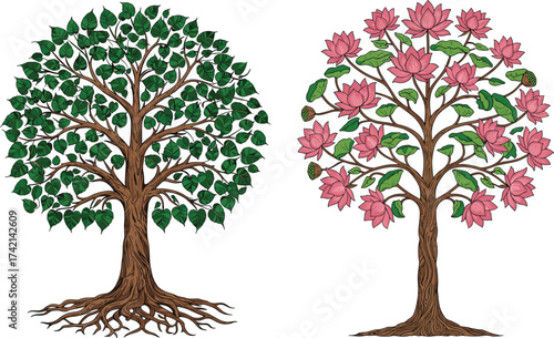 Two contrasting trees illustration, leafy green canopy with roots, pink flowering tree with blossoms, botanical comparison, cad drawing flat vector illustration