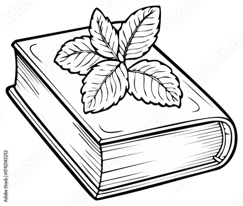 Open book with mint leaves on top in a simple line drawing style