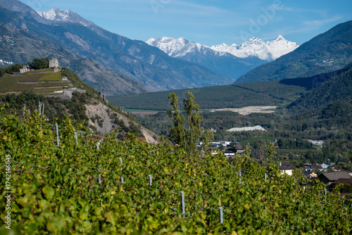 Vignoble alpin en automne avec château sur colline et montagnes enneigées
Superbe paysage viticole alpin en automne, avec un château perché sur une colline dominant la vallée et les montagnes enneigée