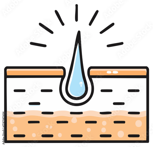 Depicting Hair Follicle in Dermis Layer of the Skin with Water Drop, Ideal for Skincare or Dermatology