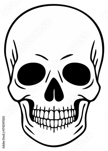 Human skull graphic illustration in black and white, front view line art drawing