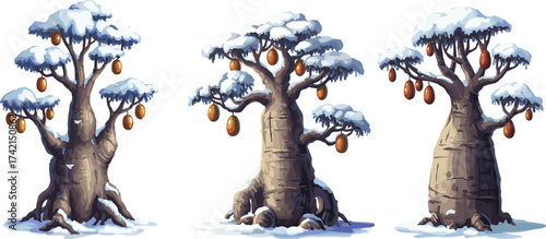 Baobab tree winter illustration, snow covered exotic tree, tropical fruit plant, seasonal nature artwork, cold climate landscape, vector fantasy design
