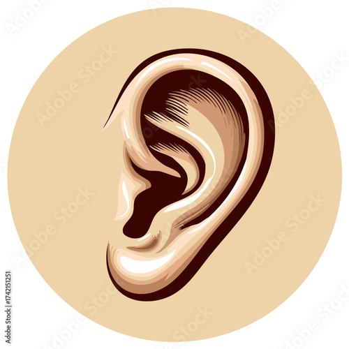 Stylized Human Ear Vector Illustration Icon for Hearing Sound and Anatomy