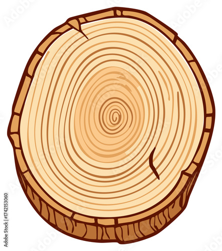 Cross section of a tree trunk showing growth rings and bark texture