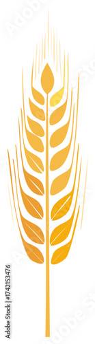 Stylized golden wheat stalk illustration isolated on white background