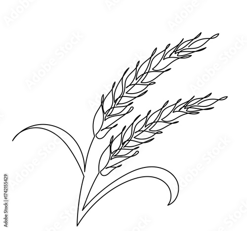 continuous line drawing of a wheat stalk.Fresh staple Bakery food concept for breakfast wheat leaf. Organic wheat bread agriculture. Grain plants and cereals, rye, barley.
