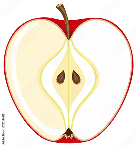 Sliced Red Apple Fruit Illustration with Seeds and Stem