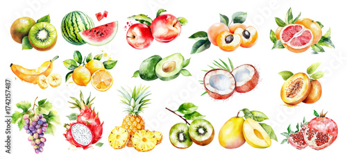 watercolor tropical fruits slice kiwi, watermelon, apple, peach, orange, banana, lemon, mango, avocado, coconut, grape, pineapple, pomegranate with green leaves illustration fruits clip art