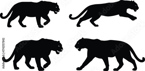 Black panther silhouette walking poses, wild animal vector art, feline movement illustration for design projects