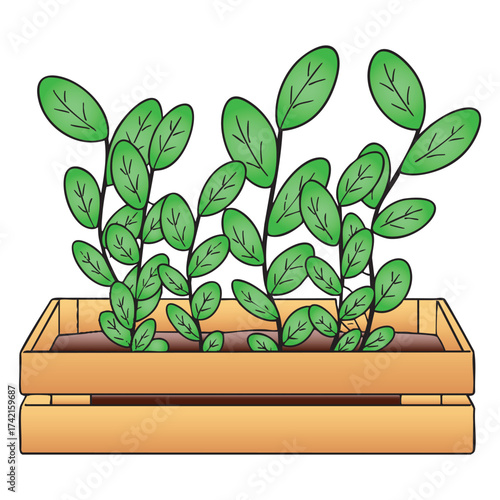 Fresh Green Houseplant Sprouts in Wooden Crate Planter Vector Illustration