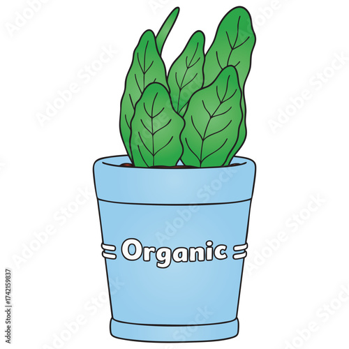 Lush Green Organic Herb or Houseplant in Blue Pot Vector Illustration