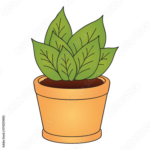 Potted House Plant with Large Green Leaves Vector Illustration