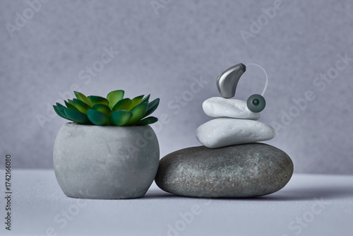BTE hearing aid rests delicately on stacked rocks, next to a potted succulent. Hearing health