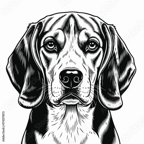 Graphic style beagle portrait with monochrome palette and clean lines showcases this dog breed's endearing gaze. Beagle portrait captures elegant details and highlights each contour,