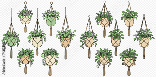 Illustration of hanging plants in macrame planters with tassels.